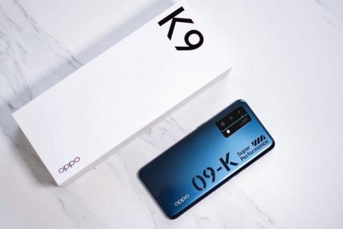 k9是什么意思(k9基本姿态)插图7