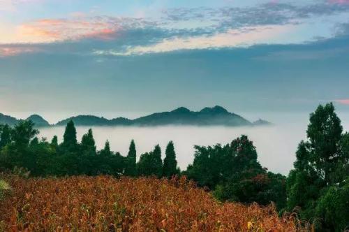珠山油炸粑粑做法(潭下油炸粑粑做法)插图30