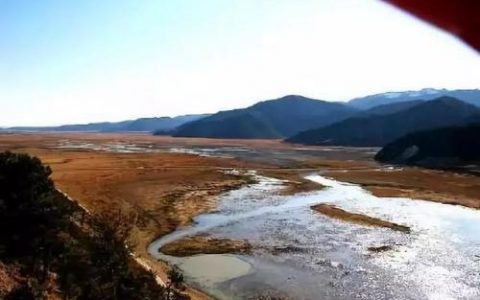 弱水三千只取一瓢什么意思(弱水三千表达了什么情感)