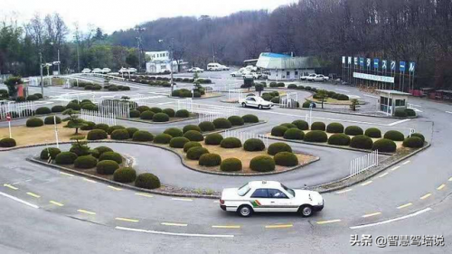 东京英语驾校排名前十(附近哪个驾校口碑最好)插图