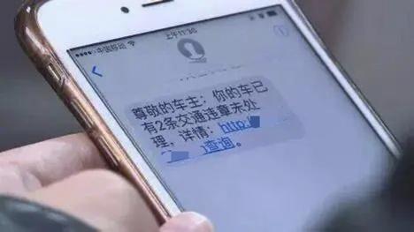 深圳市交通违章查询(深圳车辆违章查询)插图3