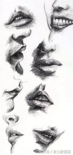 学画画零基础(附近的画画的地方培训班)插图61