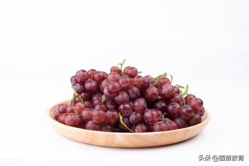 葡的组词二个字(紫的组词二个字)插图4