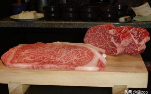中国肉牛品种排名前十(牛的品种排名)