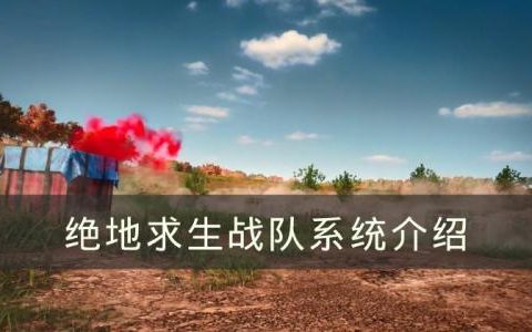 绝地求生战队系统怎么样(绝地求生战队有什么用)