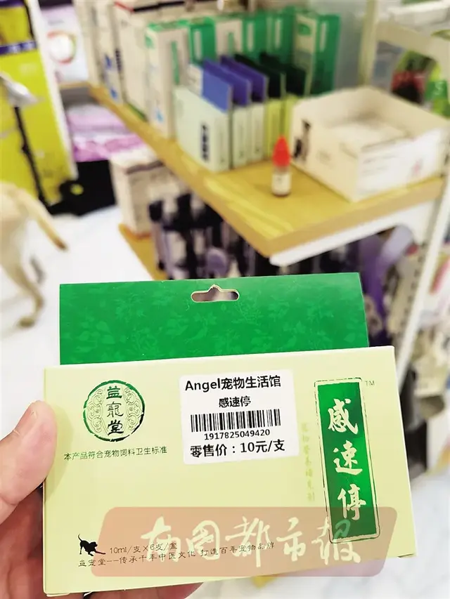 海口 宠物学校排名前十(海口最好小学排名)插图1