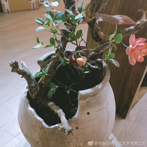 合肥私房花店排名前十(合肥咏禾花店)插图5