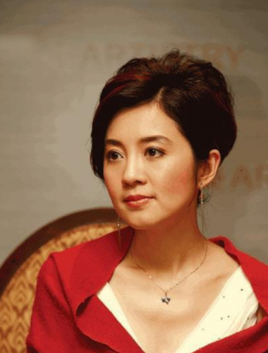 许戈辉名人面对面(许戈辉访问成龙)插图30