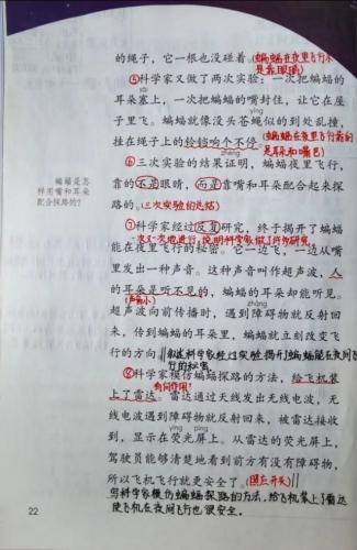 蝙蝠和雷达的资料(模仿蝙蝠发明雷达的例子)插图1