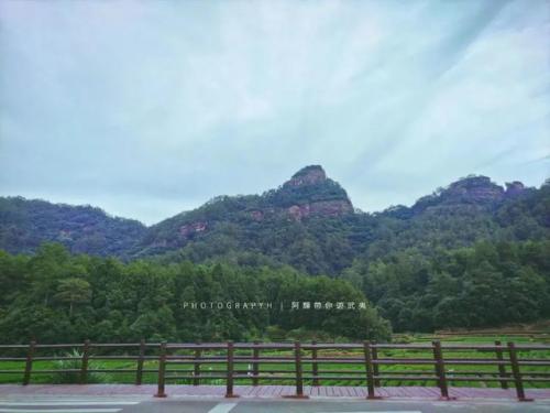 武夷山景点(武夷山景点介绍)插图26