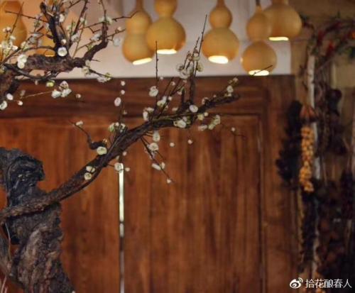合肥私房花店排名前十(合肥咏禾花店)插图