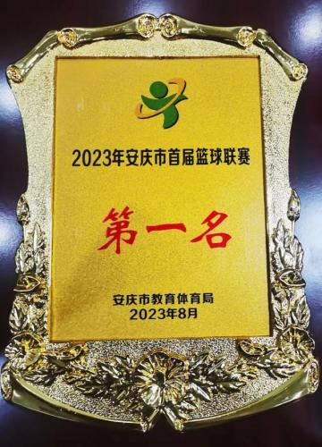 安庆篮球大神排名前十(安庆重点处篮球赛)插图