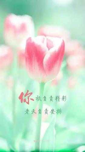 情人节的图片(情人节的图片配图大全)插图13