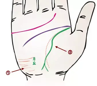 掌纹分析专家排名前十(掌纹密码书籍)插图4