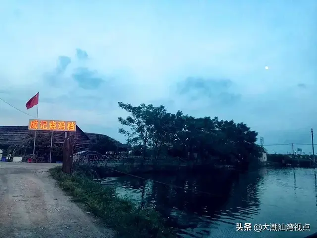 顺德美食高佬排名前十(顺德珍姐美食)插图24