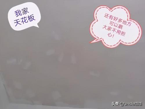 卡雷苟斯符咒(萨菲隆的翼骨)插图25