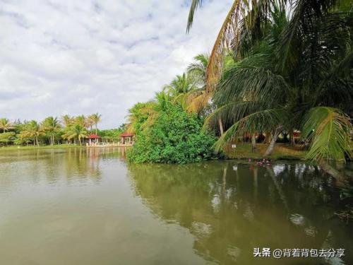 海南必看景点排名前十(海南十大不值得去景点)插图6