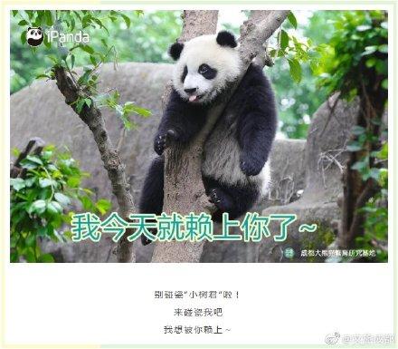 土味情话大全(撩妹500句土味情话)插图9
