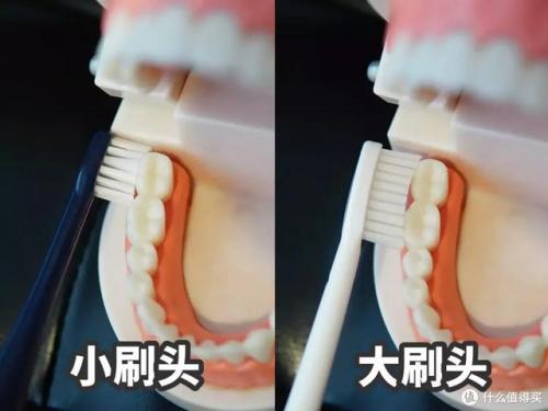 电动牙刷头(usmile电动牙刷头)插图19