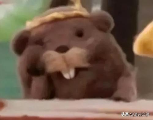 英里和公里的换算(航速30节等于多少公里)插图1