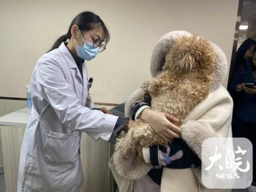 合肥兽医诊所排名前十(合肥哪个兽医站比较好)插图