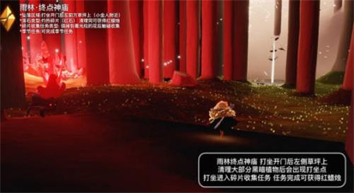 光遇破晓季雨林黑暗碎片在哪里(光遇破晓季碎片地点)插图4