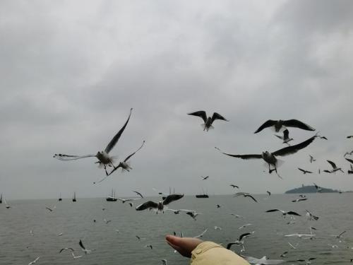 无锡景点(鼋头渚)插图1