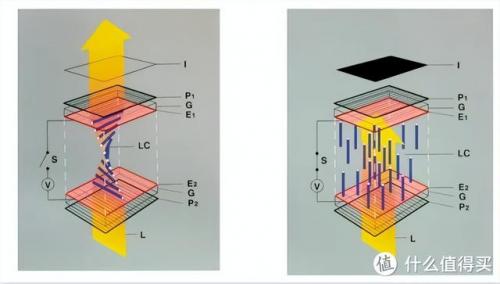 电脑显示器价格(显示器一般在什么价位)插图22