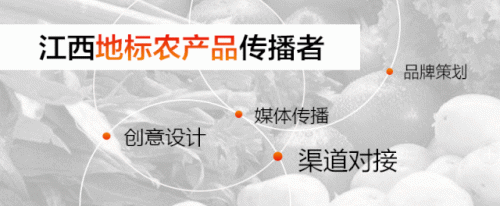 赣州家禽品种排名前十(中国十大蛋鸡种禽公司)插图