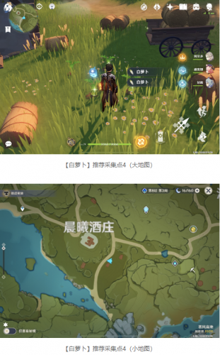 原神百货奇货第七天鸟蛋苹果及白萝卜采集地点一览(烤鸟蛋)插图10