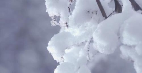 四川哪里下雪了(2023第一场雪)插图12