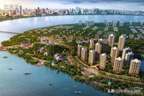 南宁豪宅销量排名前十(南宁十大顶尖豪宅)插图8