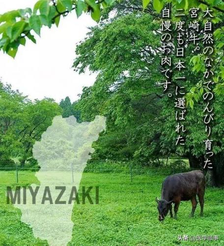 牛棚牛排品牌排名前十(调理牛排品牌排行榜)插图40