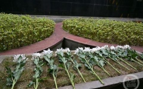 重庆公墓风水排名前十(重庆主城风水最好的地方)