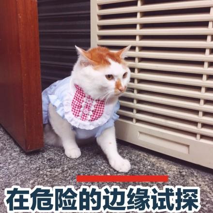 第一次去密室逃脱怎么玩(第一次玩密室有什么建议)插图11
