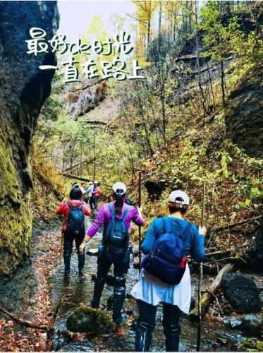 聚龙火山石林景区(长白山聚龙火山温泉简介)插图3