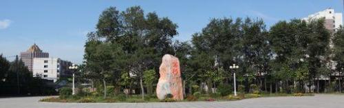 营口普高学校排名前十(营口卫生学校)插图53