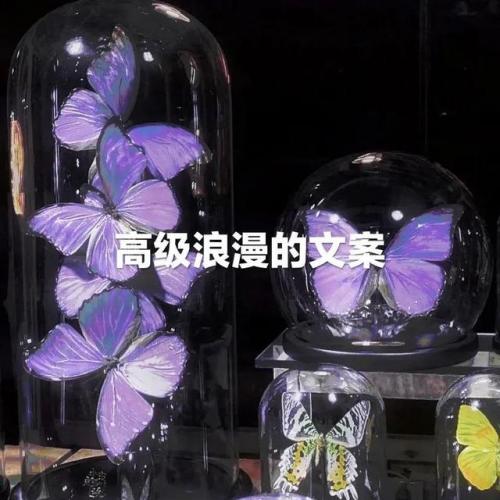 琴弦品牌手链排名前十(高端手链品牌排行榜)插图2