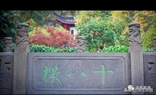 紫砂茶壶品牌排名前十(高端紫砂壶的品牌)插图24