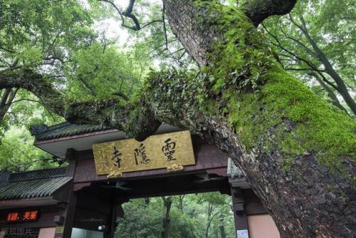 杭州排名前十的景点(杭州必游的景点推荐)插图12