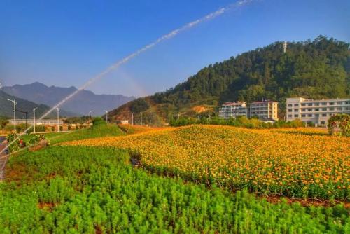 杭州花海农场排名前十(杭州哪里有生态农场)插图11