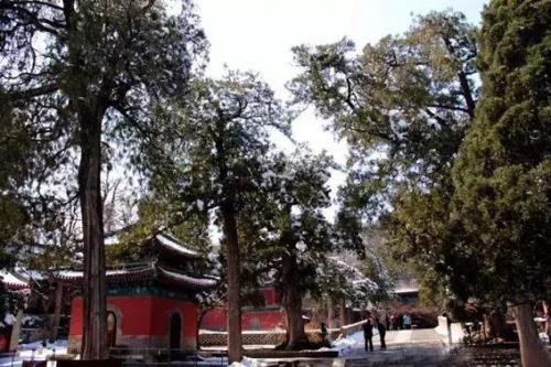 北京寺庙道观排名前十(北京正规寺庙排名)插图15