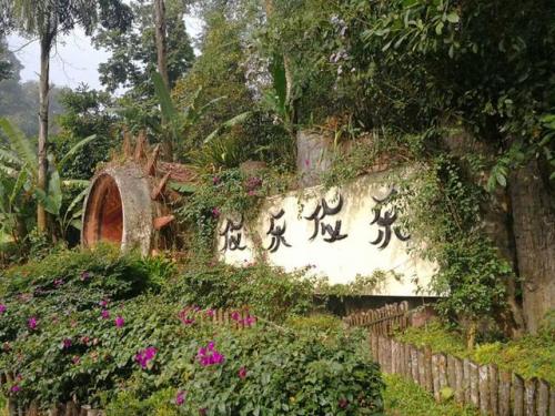 版纳美丽乡村排名前十(西双版纳古村落)插图5