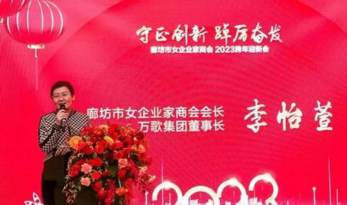 廊坊女首富排名前十(廊坊落垡首富是谁)插图2