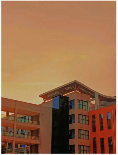河南经贸学院(河南经贸学费一年多少钱)插图18
