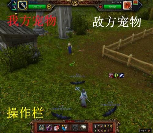 魔兽世界怎么和野外宠物对战(熊猫人之谜鸟德攻略)插图4
