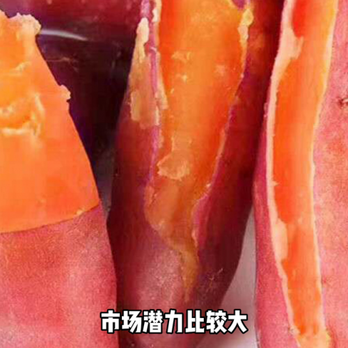 地瓜甜度排名前十(薯类食品的食用注意事项)插图
