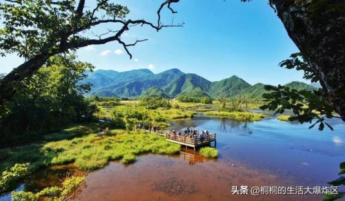 保亭景点排名前十(保亭免费景点大全)插图6