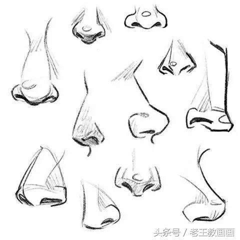 学画画零基础(附近的画画的地方培训班)插图53