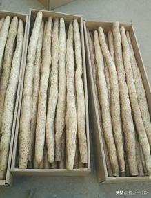 高阳小吃排名前十店铺(平顶山高阳小区小吃)插图